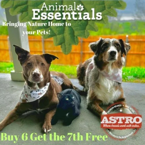 Promotion Image